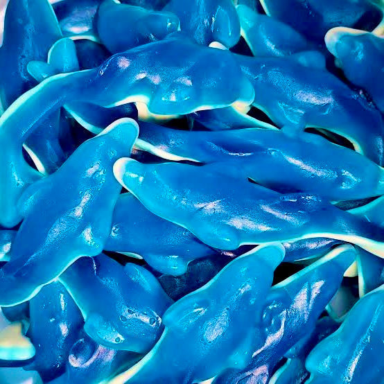 Kingway giant dolphins